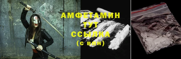 прущие грибы Алзамай