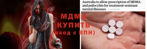 прущие грибы Алзамай