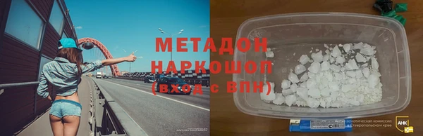 прущие грибы Алзамай