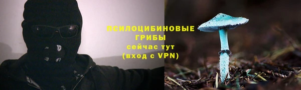 прущие грибы Алзамай