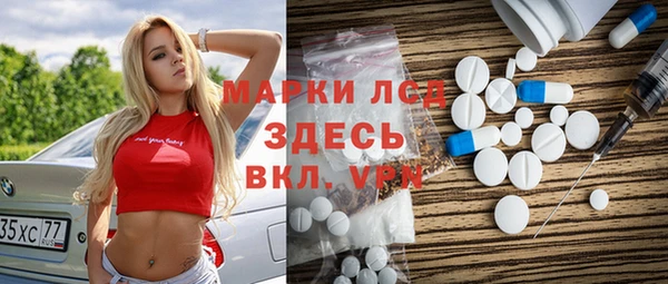 прущие грибы Алзамай