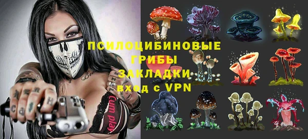 скорость Алексин