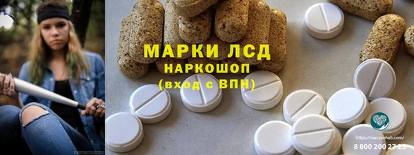 прущие грибы Алзамай