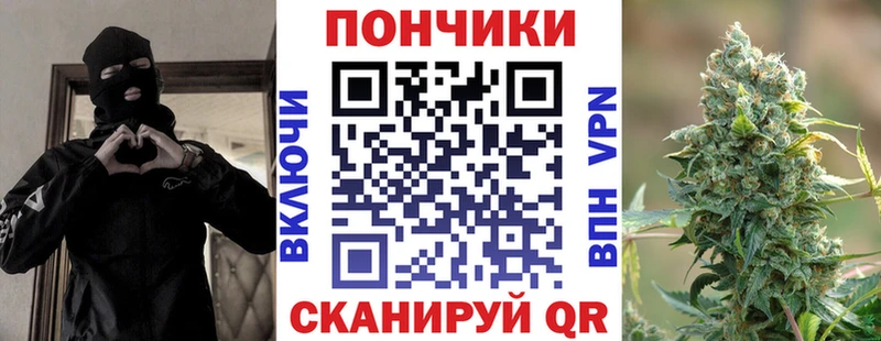 Купить закладки  Мичуринск  Конопля сатива 